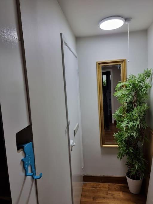 Apartment 1 Bedroom Flat In Zone 1 *